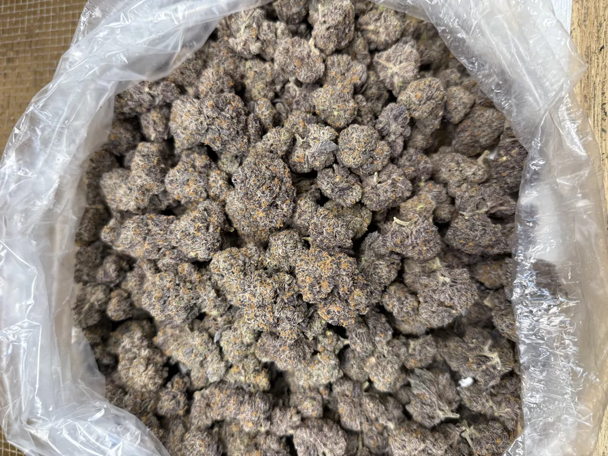 Grape Biscotti Flower